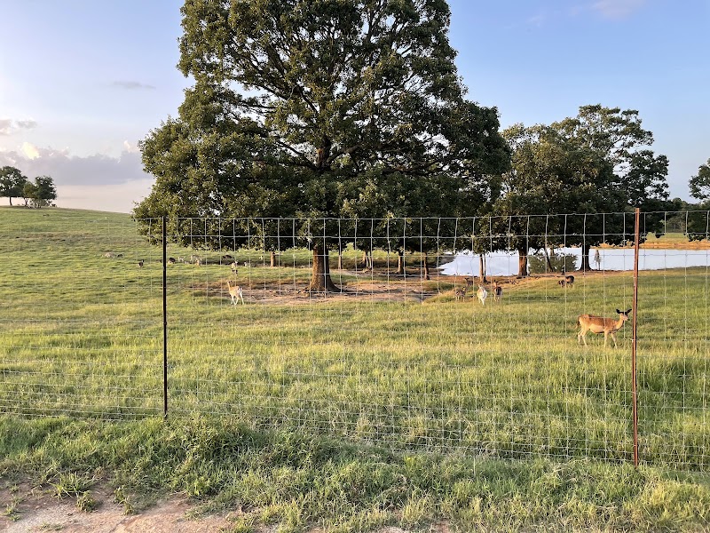 Rebel Hill Guest Ranch - Photo 6