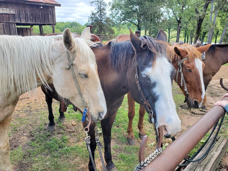 Rebel Hill Guest Ranch - Photo 1