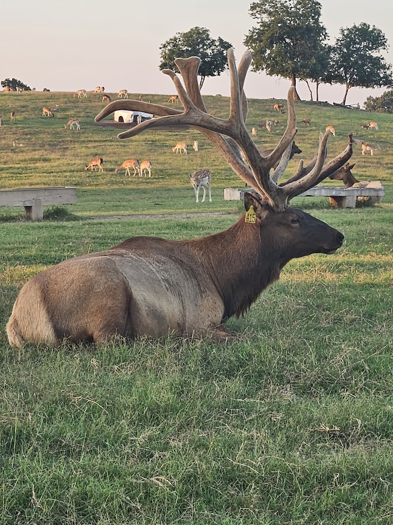 Rebel Hill Guest Ranch - Photo 5