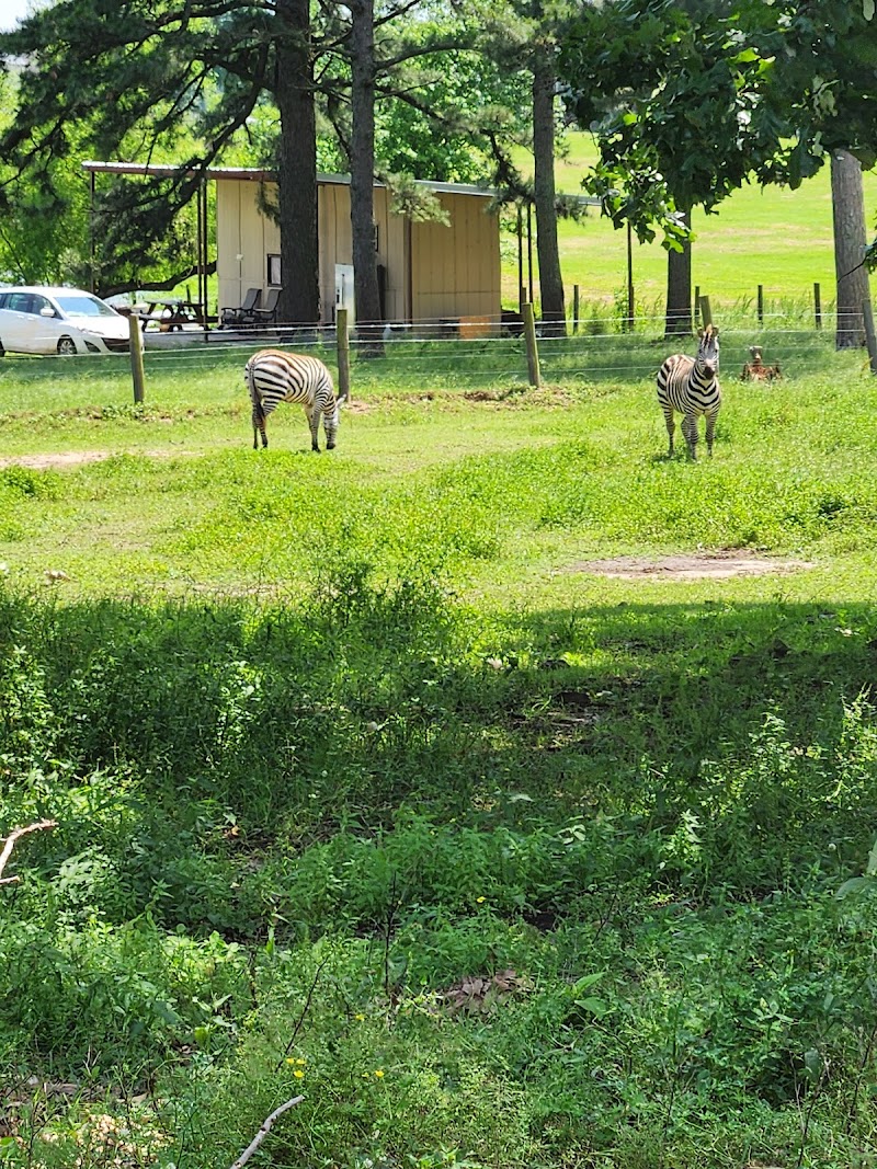 Rebel Hill Guest Ranch - Photo 4