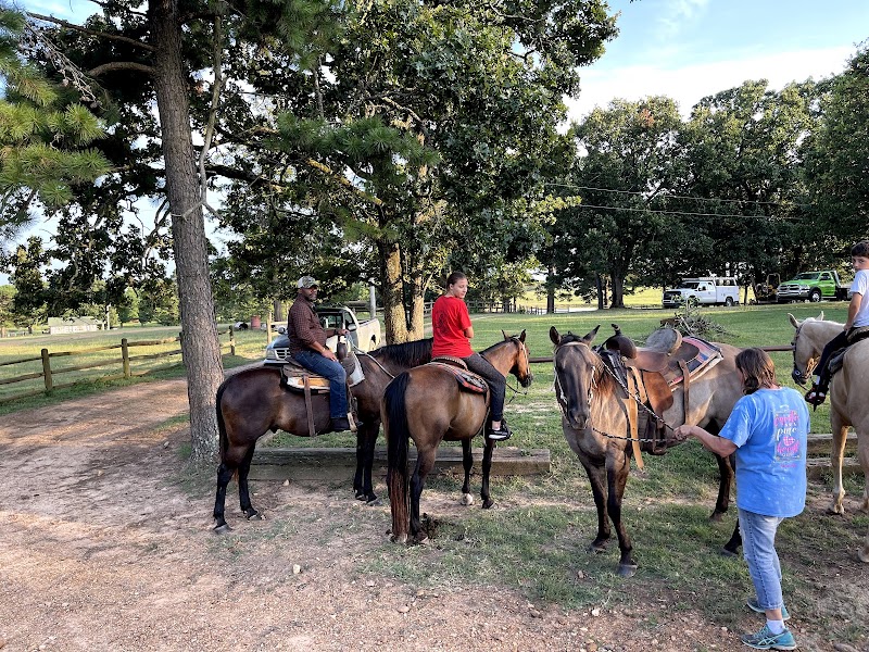 Rebel Hill Guest Ranch - Photo 3