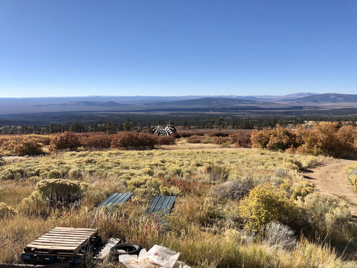 Lama Foundation — 4