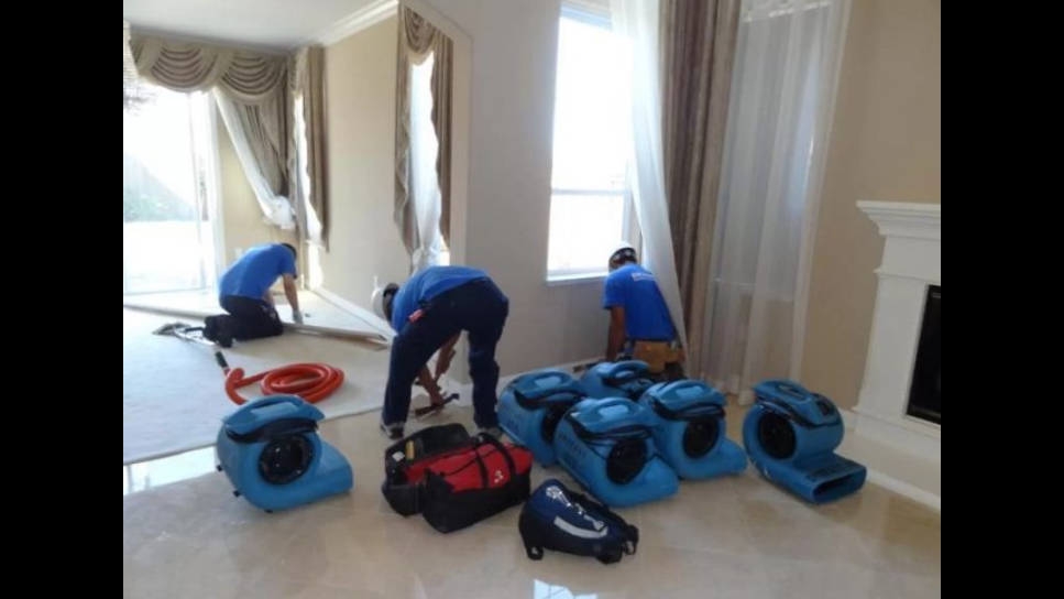 Dry Rely Water Damage Restoration — photo