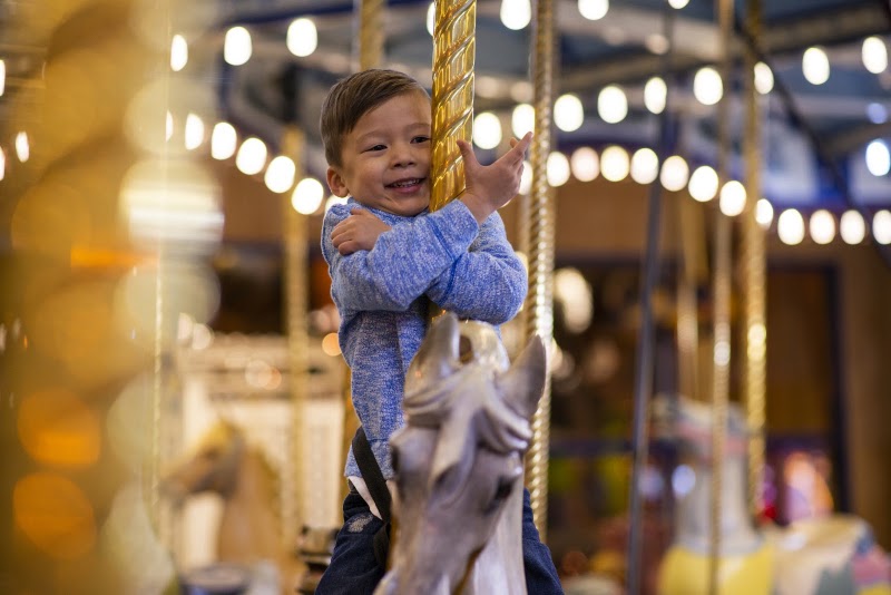Giggleberry Fair and Painted Pony Cafe photo 1
