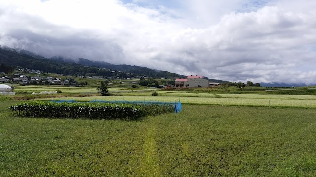 Daishin Golf Short Course - Photo 6