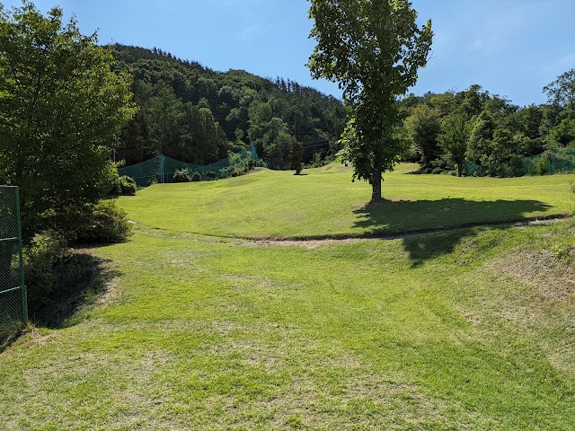 Daishin Golf Short Course - Photo 5