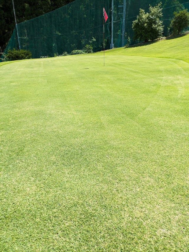 Daishin Golf Short Course - Photo 7