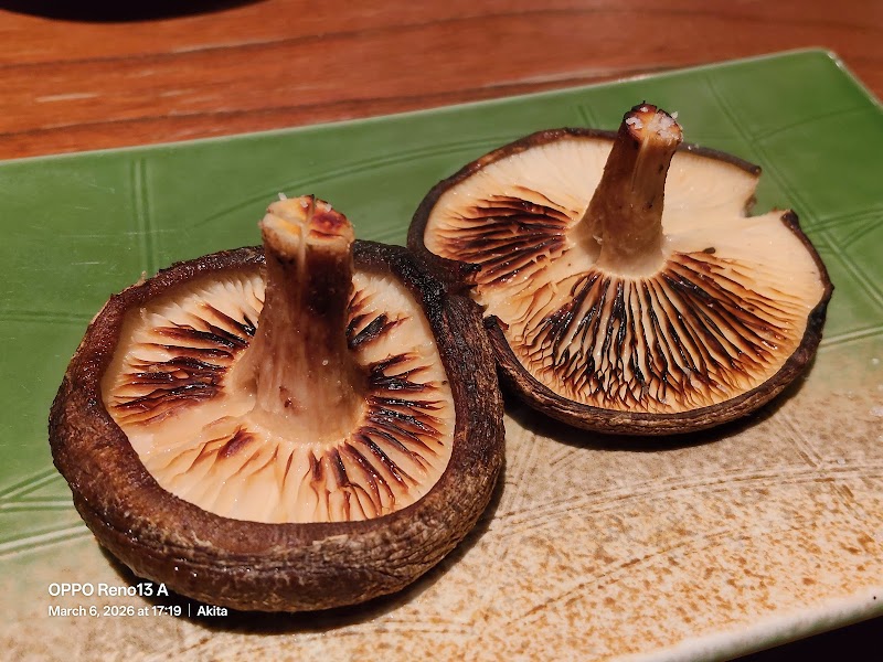 とっぴんぱらりのぷ 写真3