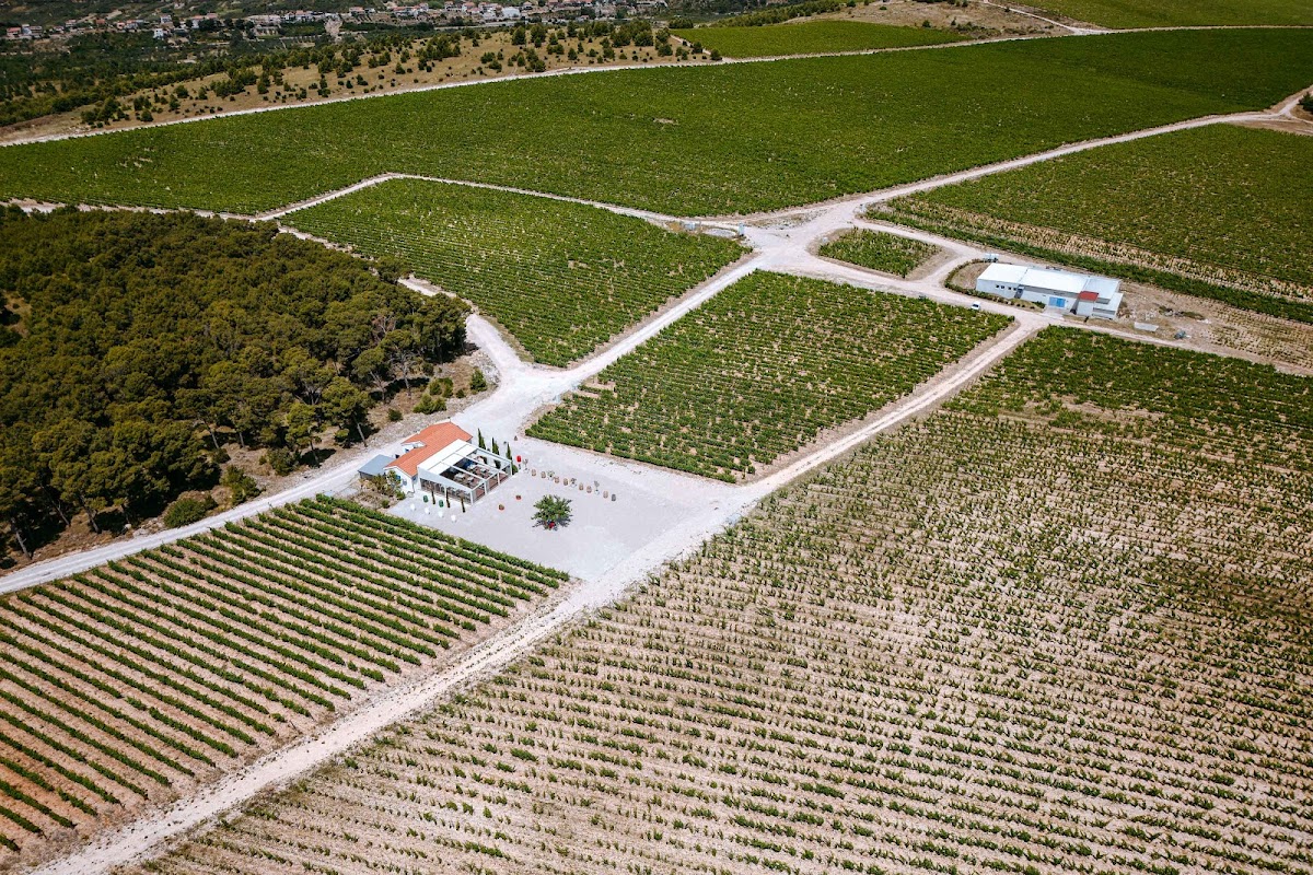 Testament Winery