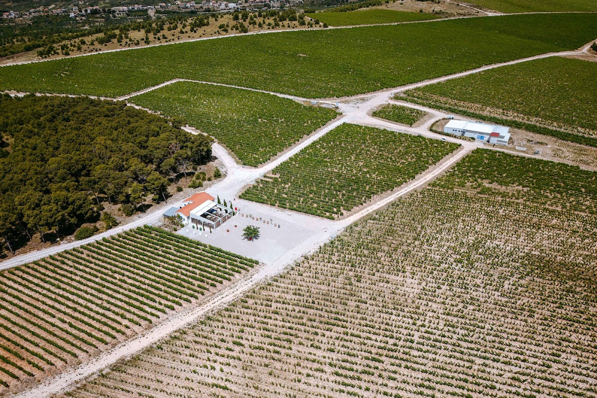 Testament Winery