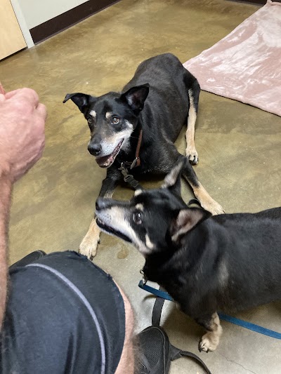 Riverview Animal Hospital