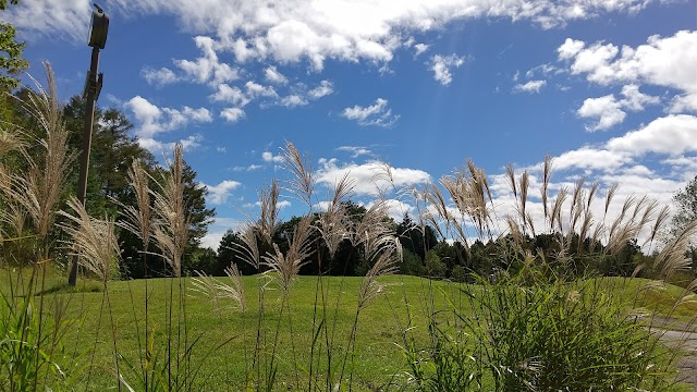 Buna Mine Golf Club - Photo 2