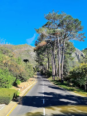 Constantia