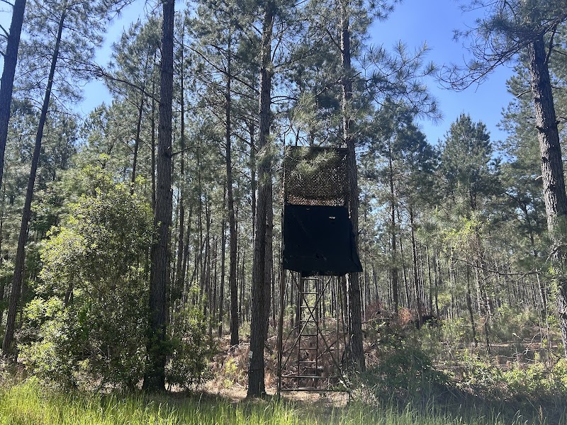 Southern Country Hunting Club - Photo 3