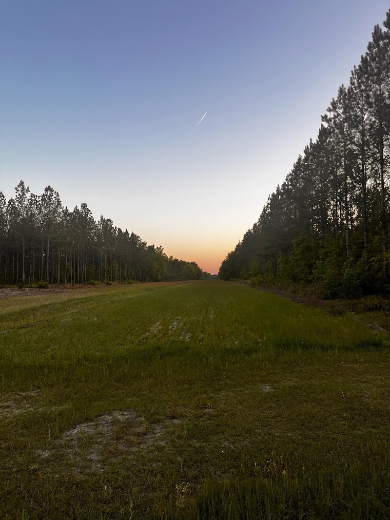 Southern Country Hunting Club - Photo 5
