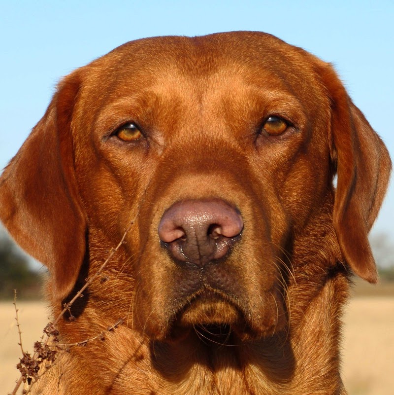 DOA Outfitters, Inc. - Photo 4