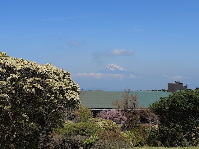 Amagi Kogen Golf Course - Photo 4