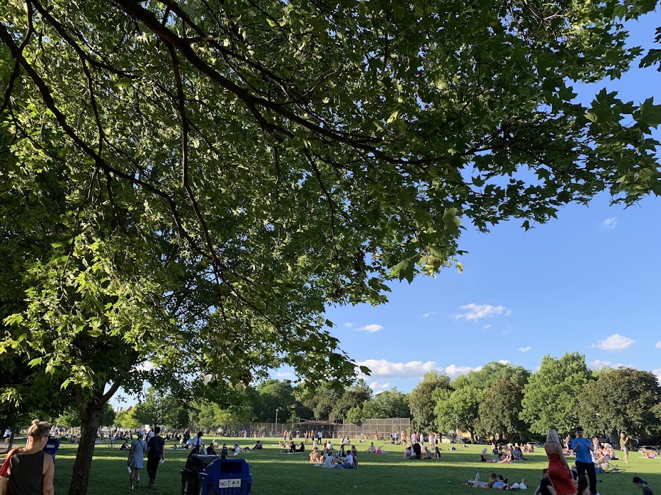 Trinity Bellwoods Park fotoğraf 1