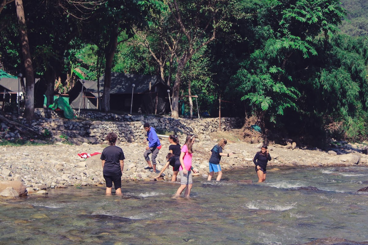 Vinyasa Yoga Ashram | Yoga Teacher Training in Rishikesh India — 3