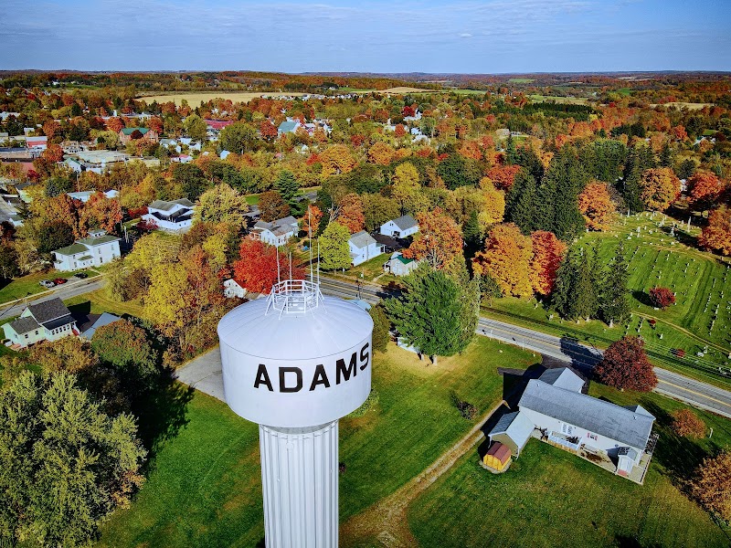 DRAKE M ADAMS radon testing