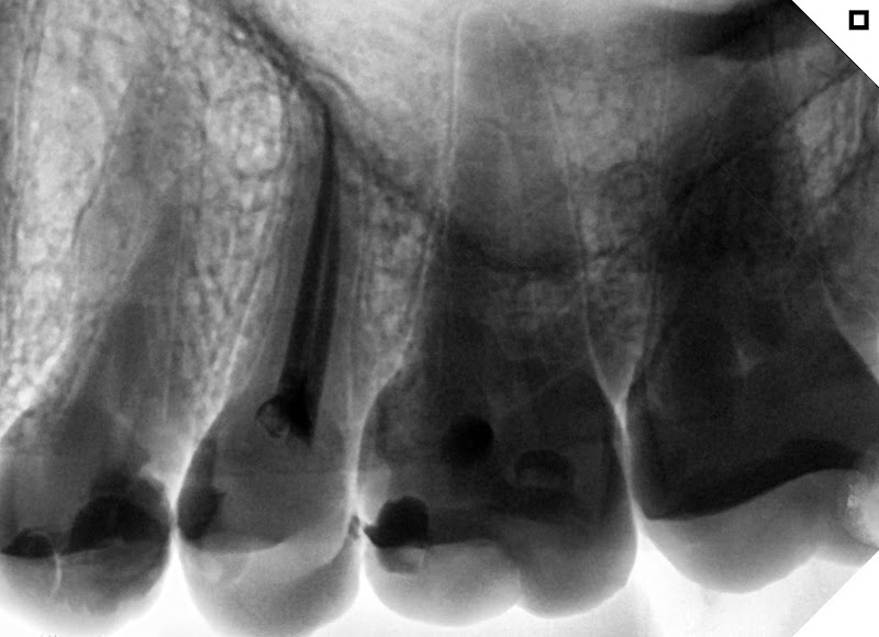 Dra Carolina Menezes - foto 5