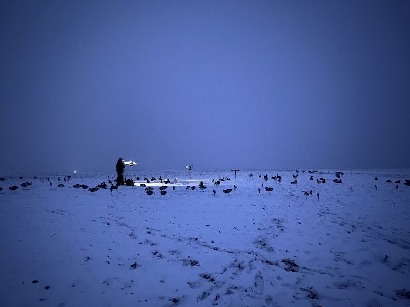 Central Dakota Lodge - Pheasant Hunting North Dakota - Photo 6