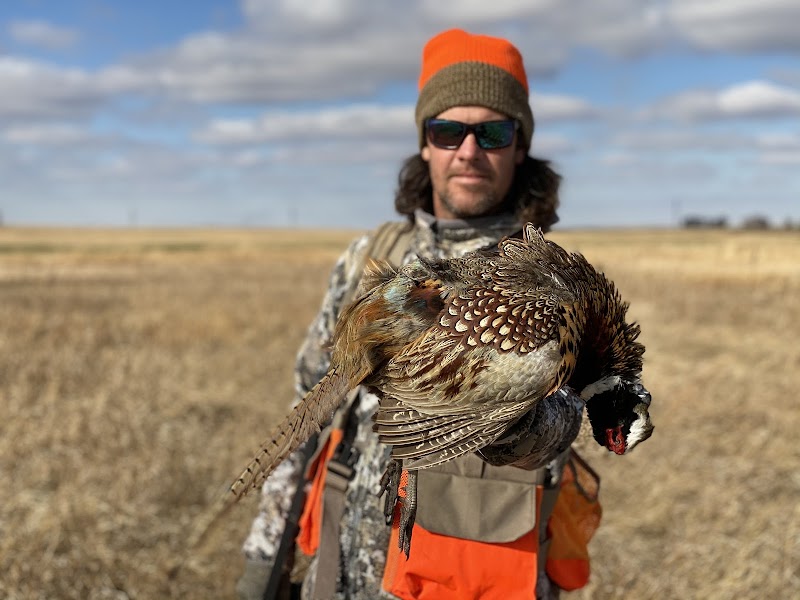 Central Dakota Lodge - Pheasant Hunting North Dakota - Photo 2