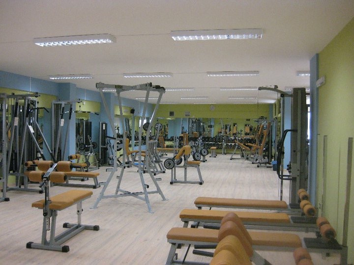 Palestra Wellness in Motion