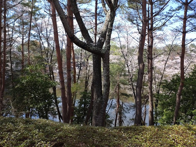 Matsumoto Asama Country Club - Photo 5