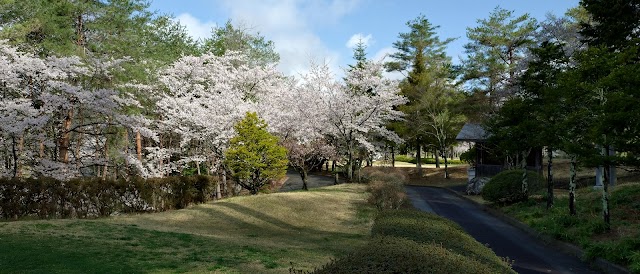 Matsumoto Asama Country Club - Photo 9