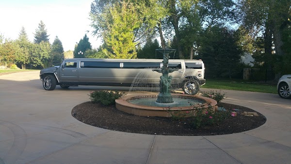 Avi Limo portfolio