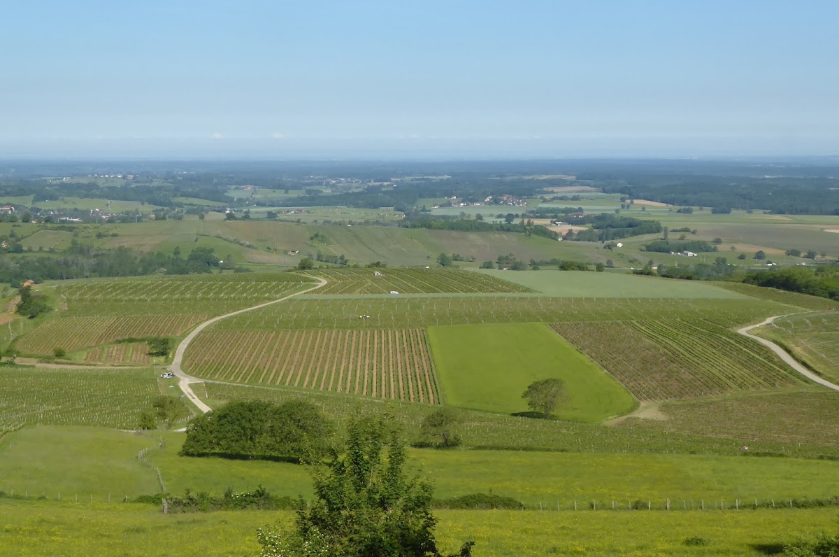 DOMAINE DÉSIRÉ PETIT