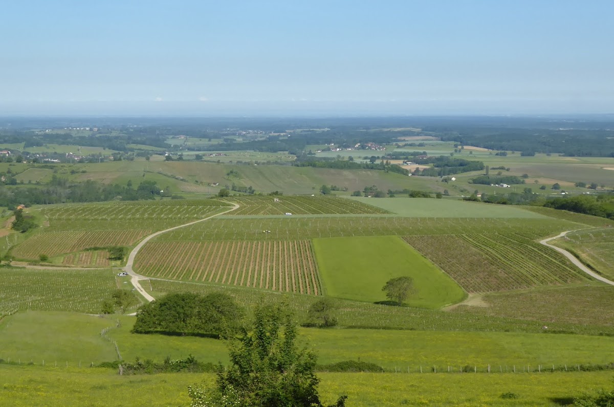 DOMAINE DÉSIRÉ PETIT