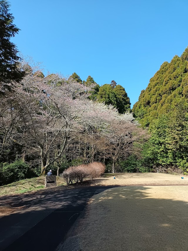 Shin Chiba Country Club - Photo 4