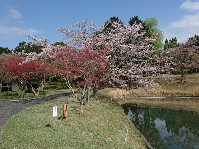 Shin Chiba Country Club - Photo 3