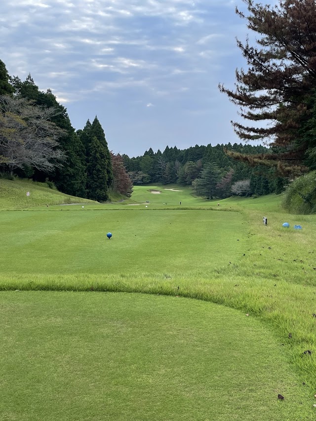 Shin Chiba Country Club - Photo 2