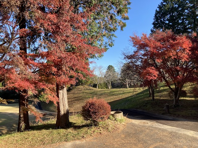 Shin Chiba Country Club - Photo 6