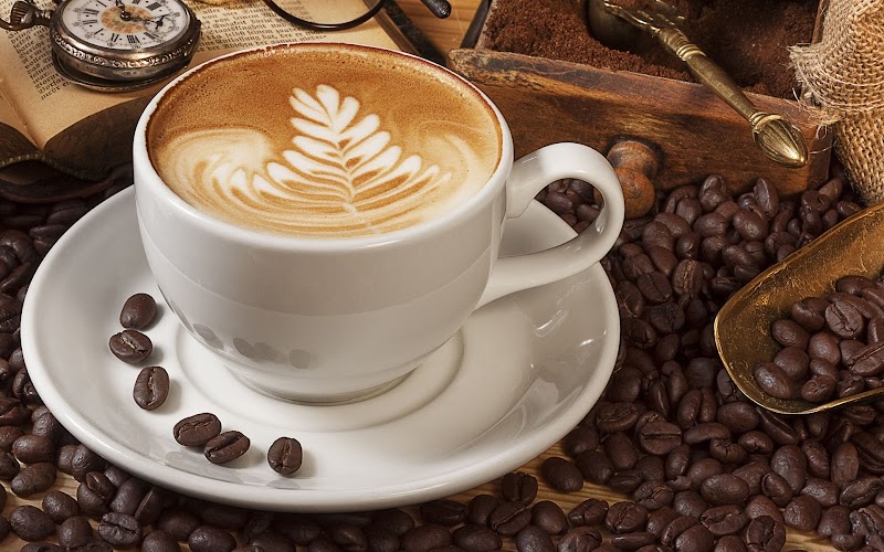 Casa Del Cafe photo 2