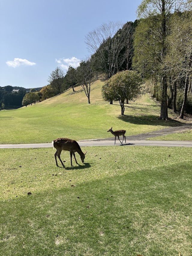 Mishima Golf Club - Photo 5