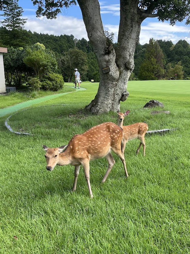 Mishima Golf Club - Photo 2
