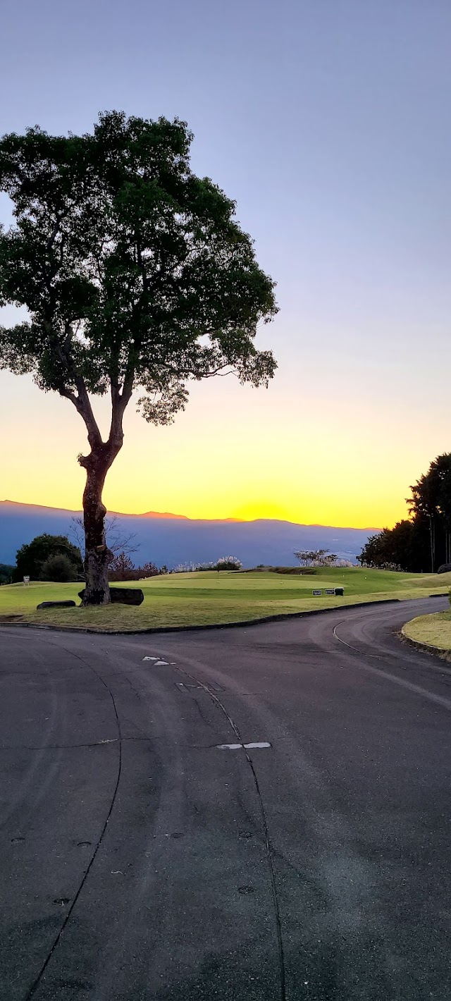 Mishima Golf Club - Photo 8