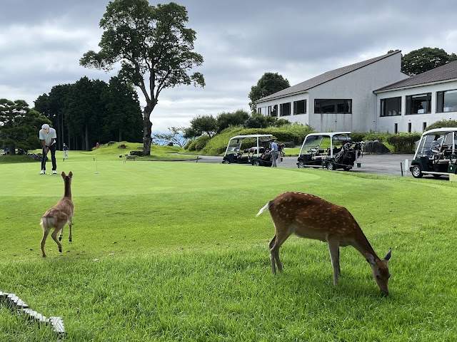 Mishima Golf Club - Photo 9