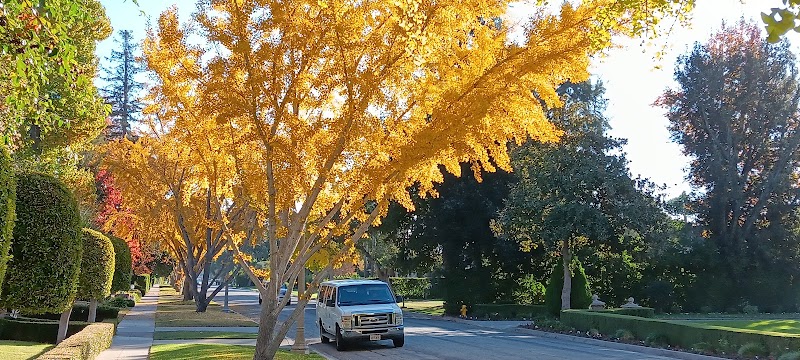 Pasadena Art Classes