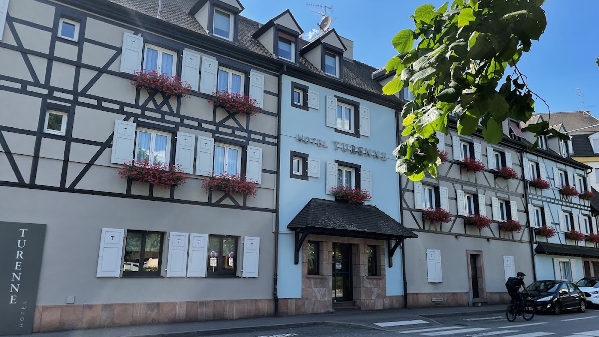 Hôtel Maison Turenne, dog-friendly hotel in Colmar