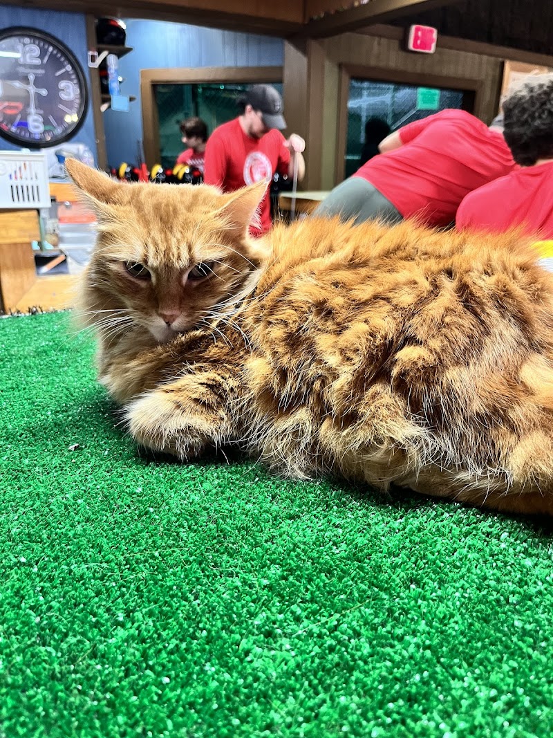 US Golf and Games photo 7