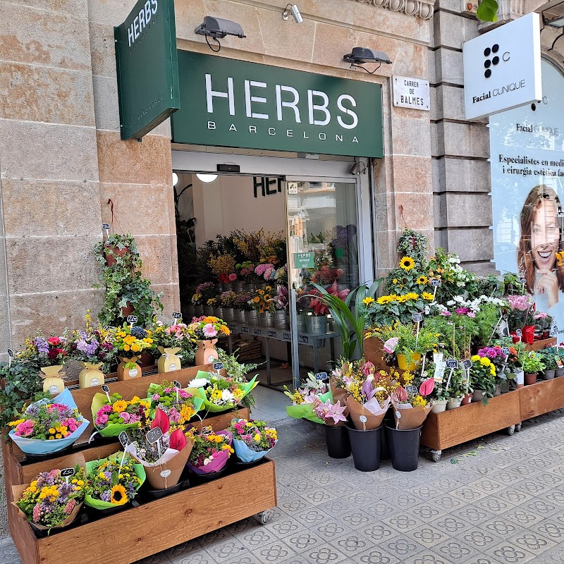 FLORISTERIA HERBS BARCELONA BALMES
