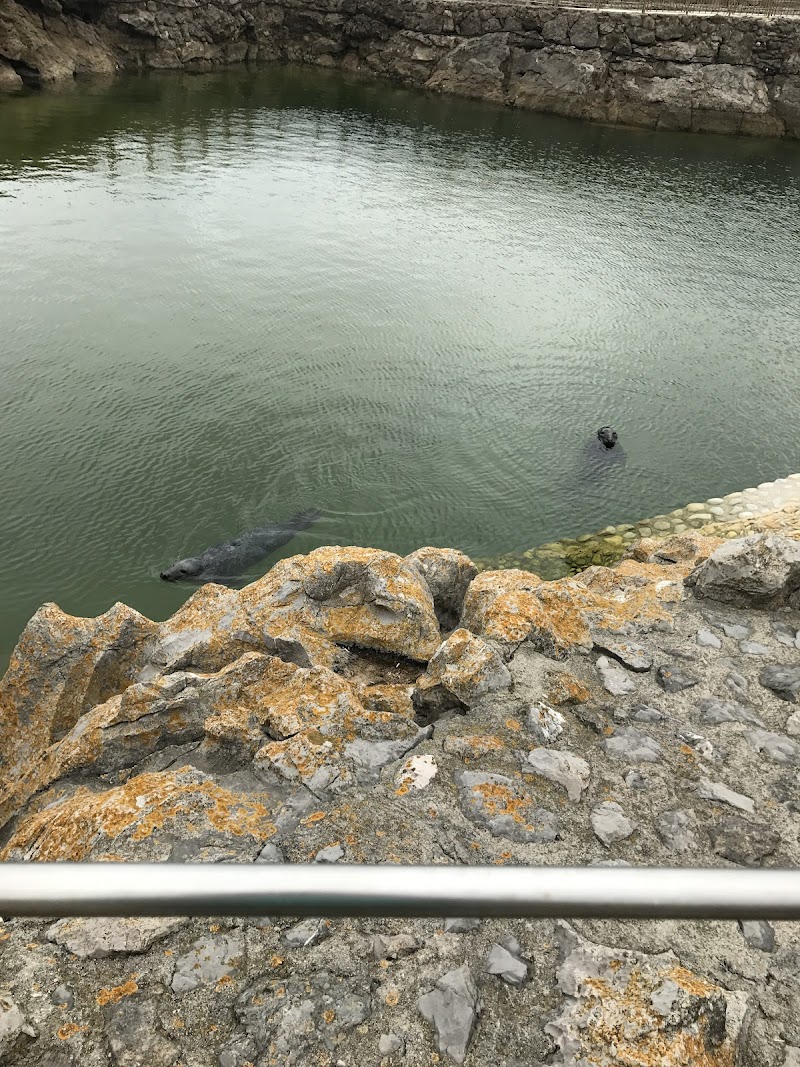 Moncho Antelo Instalaciones SL photo 5