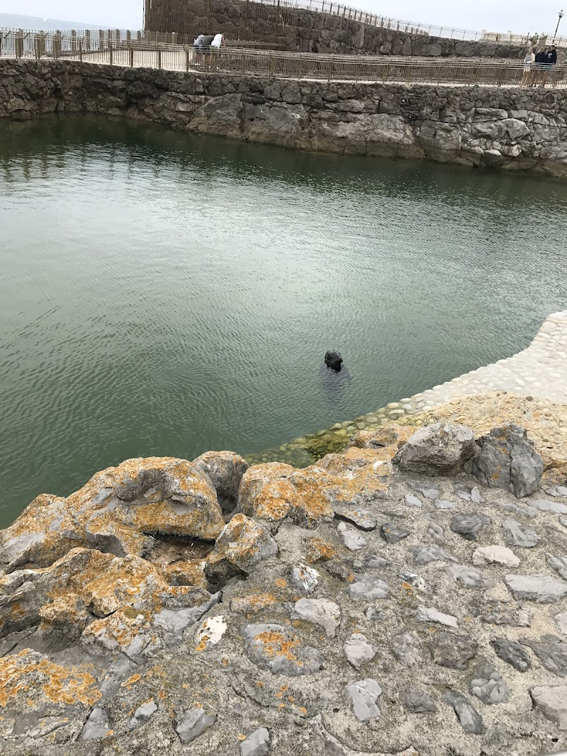 Moncho Antelo Instalaciones SL photo 3