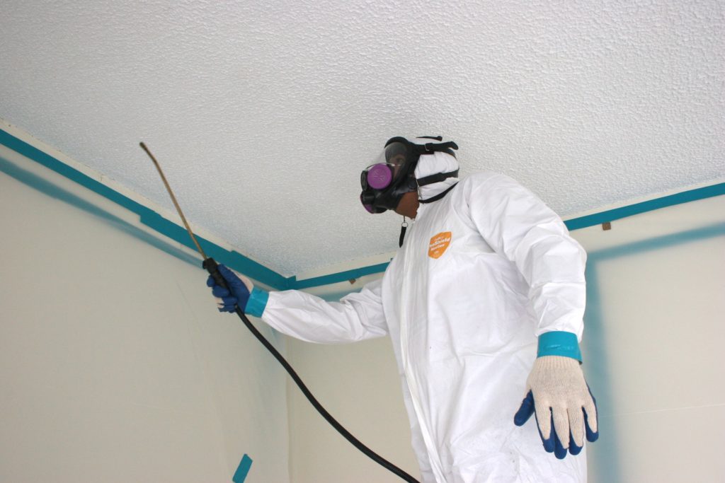 Seattle Mold Solutions — photo