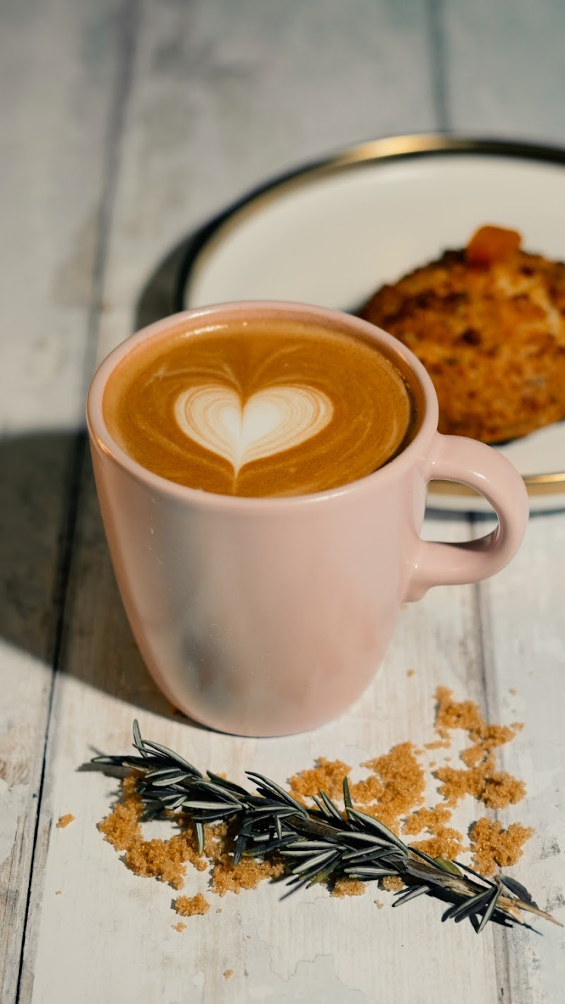 Kaldi's Coffee photo 2